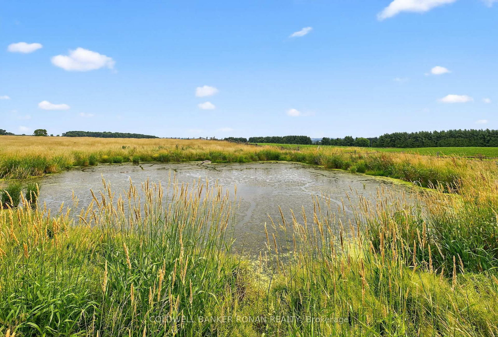 2577 Adjala Tecumseth Townline • New Tecumseth, ON photo 31