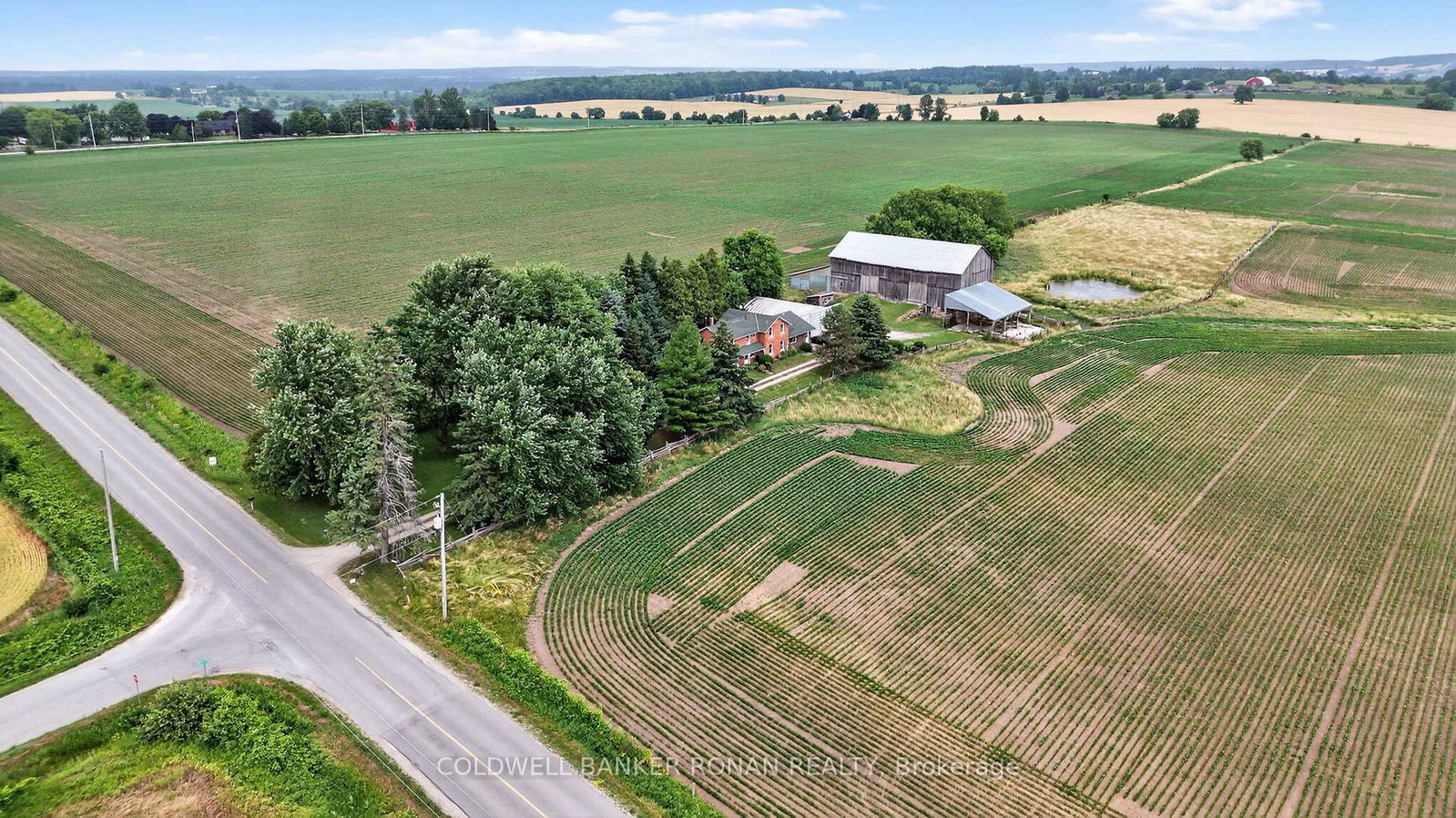 2577 Adjala Tecumseth Townline • New Tecumseth, ON photo 4