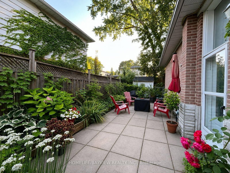 338 Lorne(Lower Level) Avenue