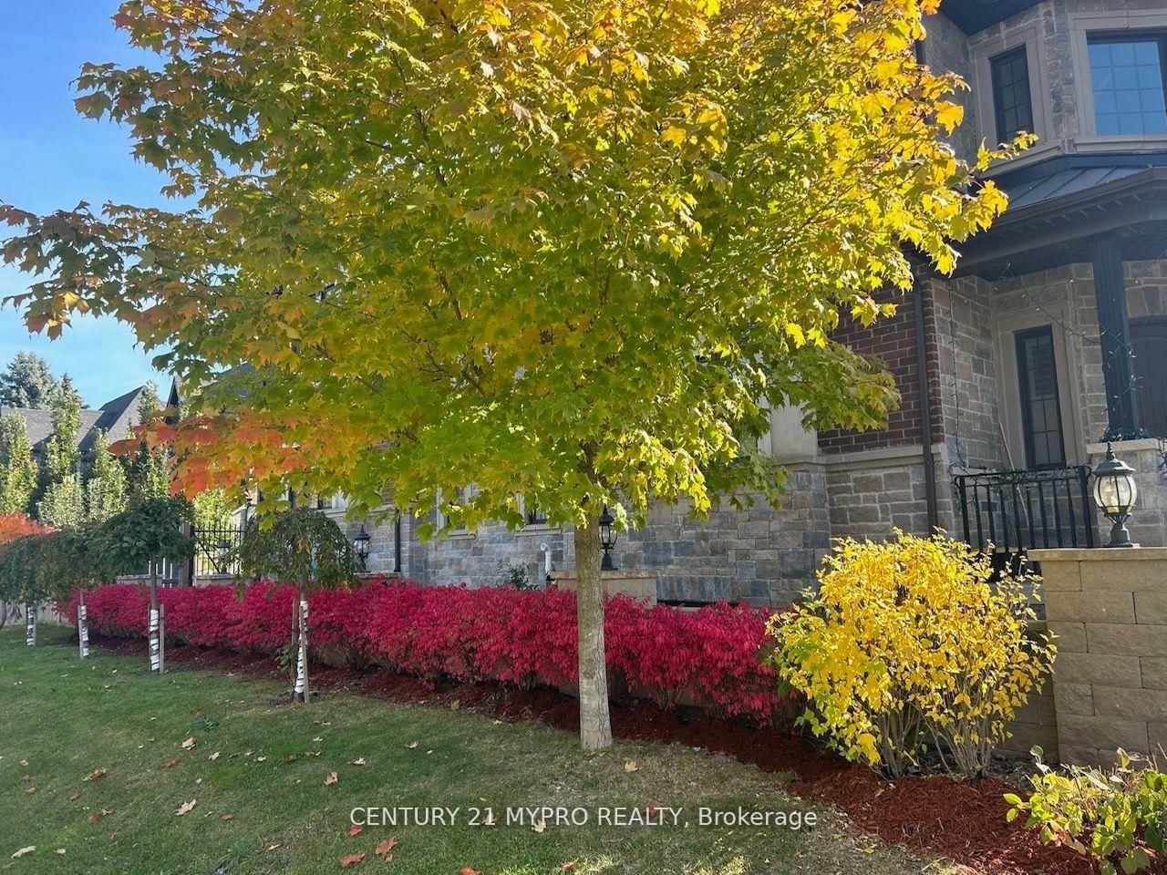 9A Anglin Drive • Richmond Hill, ON photo 40
