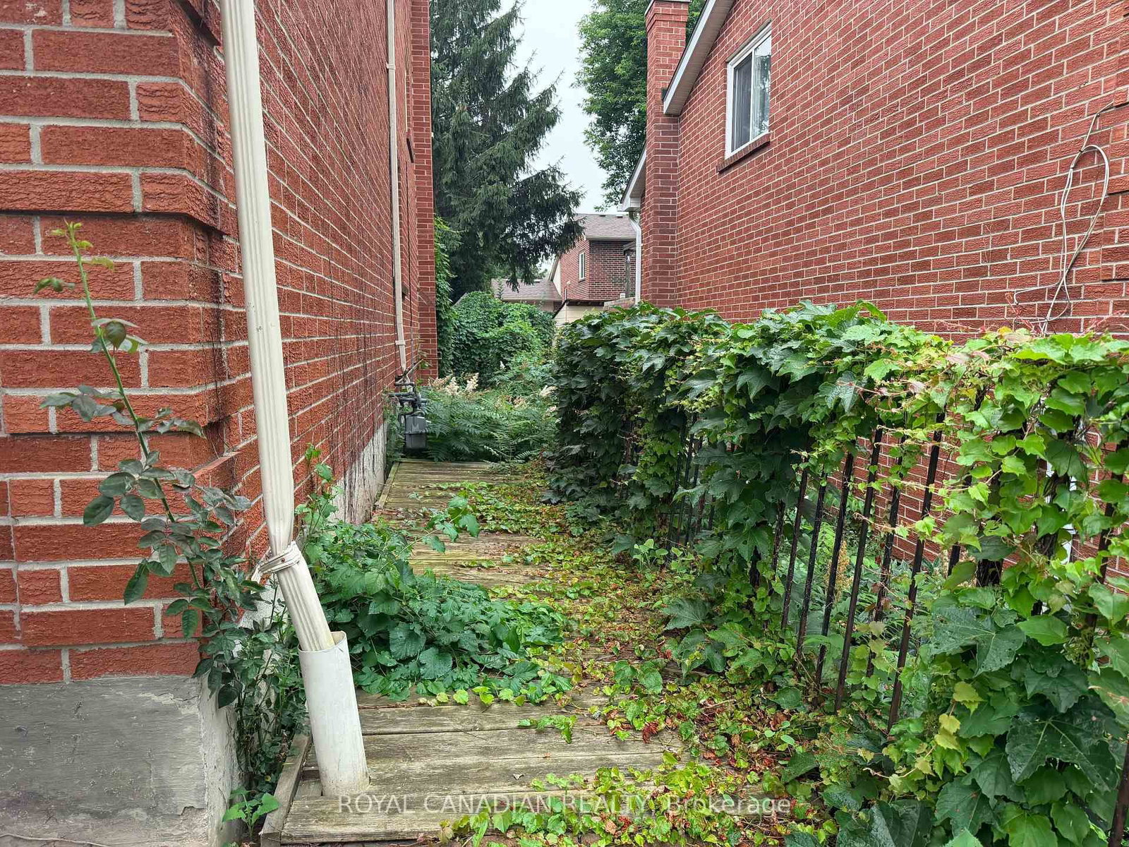 192 Harrison Drive • Newmarket, ON photo 4