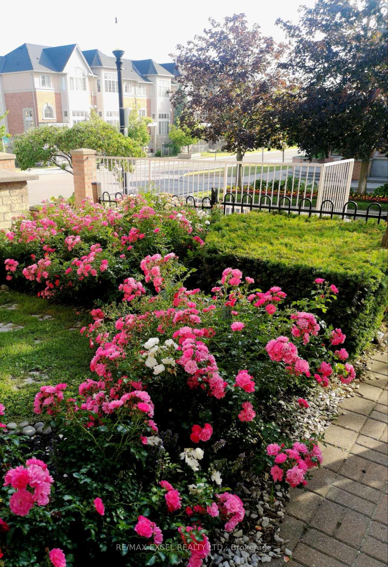 10 Cox Boulevard • #3 • Markham, ON photo 36