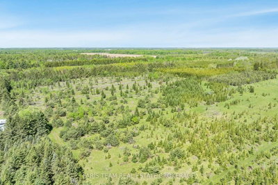 8971 McKinnon Road • Essa, ON photo 5