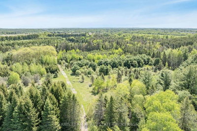8971 McKinnon Road • Essa, ON photo 6