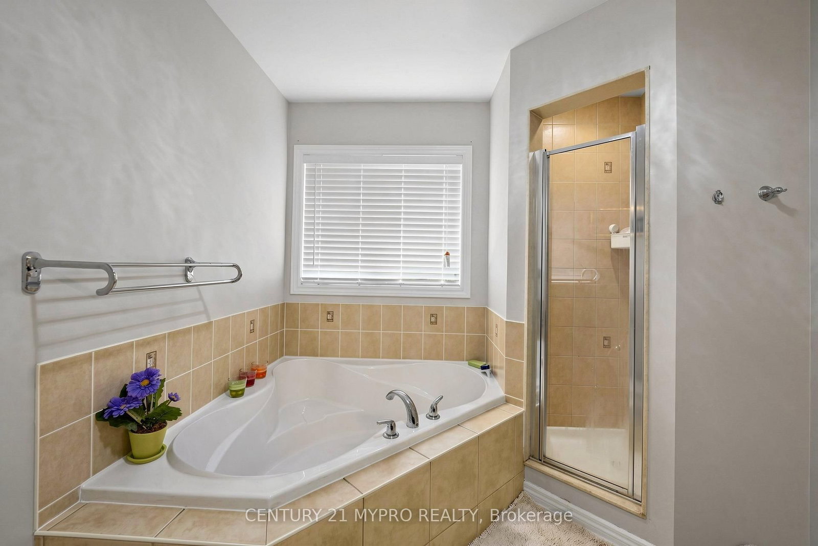 225 Silver Maple Road • Richmond Hill, ON photo 21