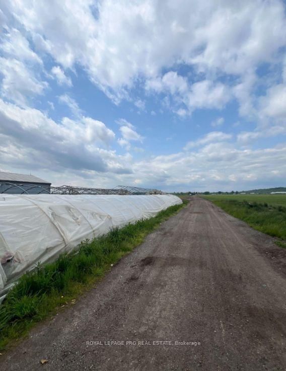 1160 River Rd Road • Bradford West Gwillimbury, ON photo 10