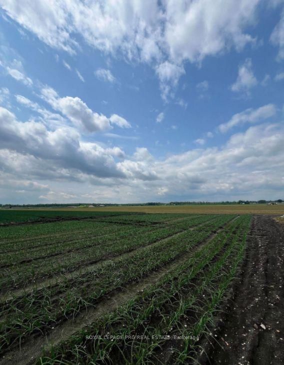 1160 River Rd Road • Bradford West Gwillimbury, ON photo 11