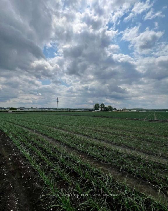 1160 River Rd Road • Bradford West Gwillimbury, ON photo 12