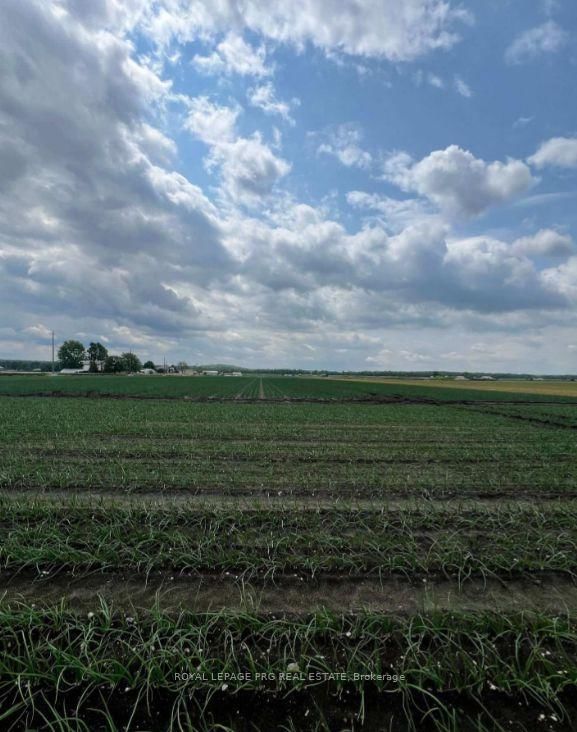 1160 River Rd Road • Bradford West Gwillimbury, ON photo 13