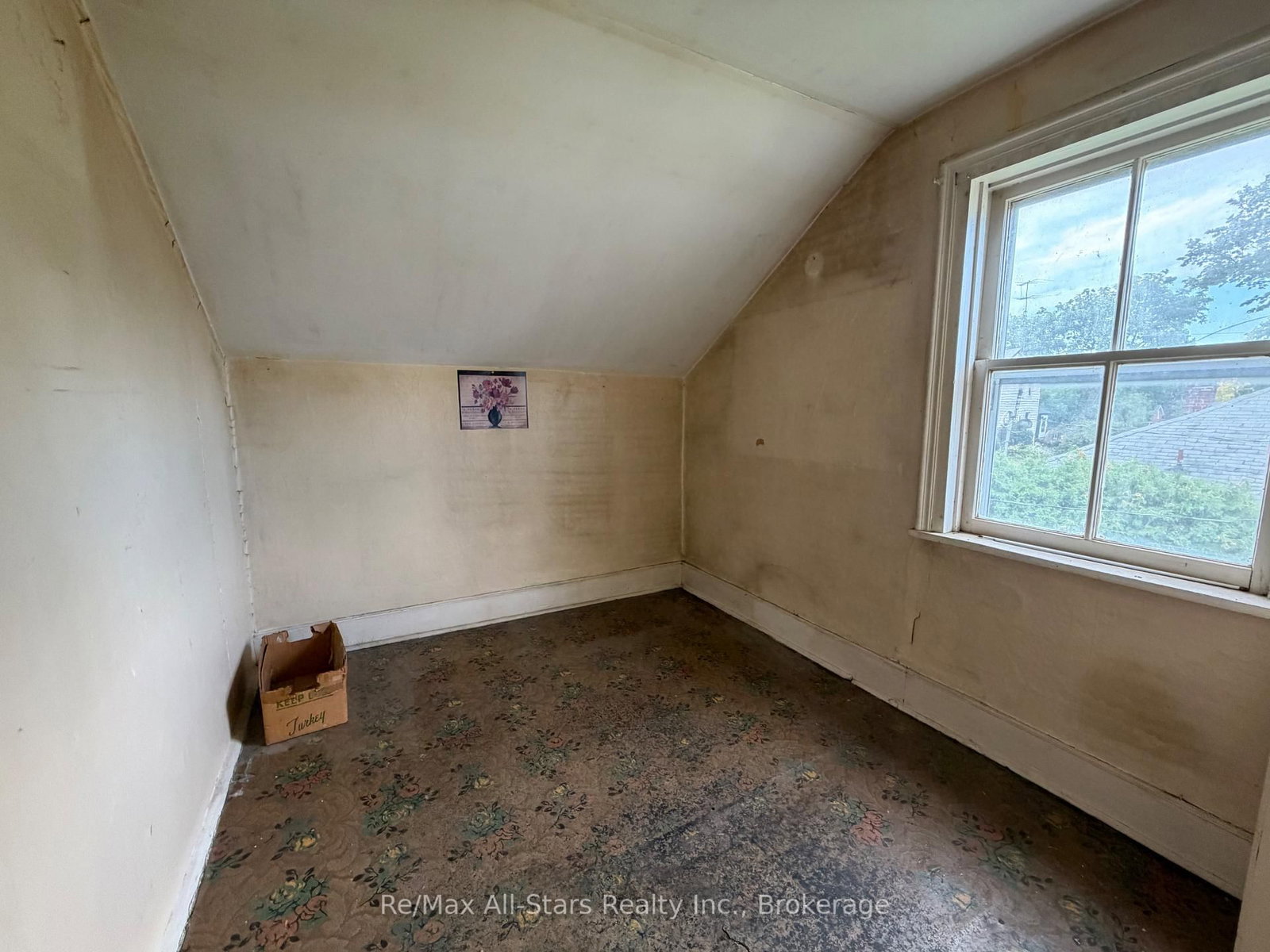 54 Munro Street • Brock, ON photo 10
