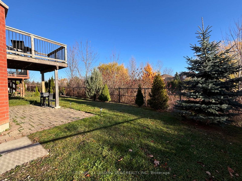 Bsmt - 35 Napanee Street