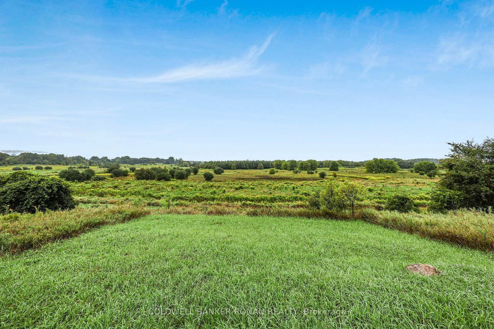 190 Strachan Trail • New Tecumseth, ON photo 47