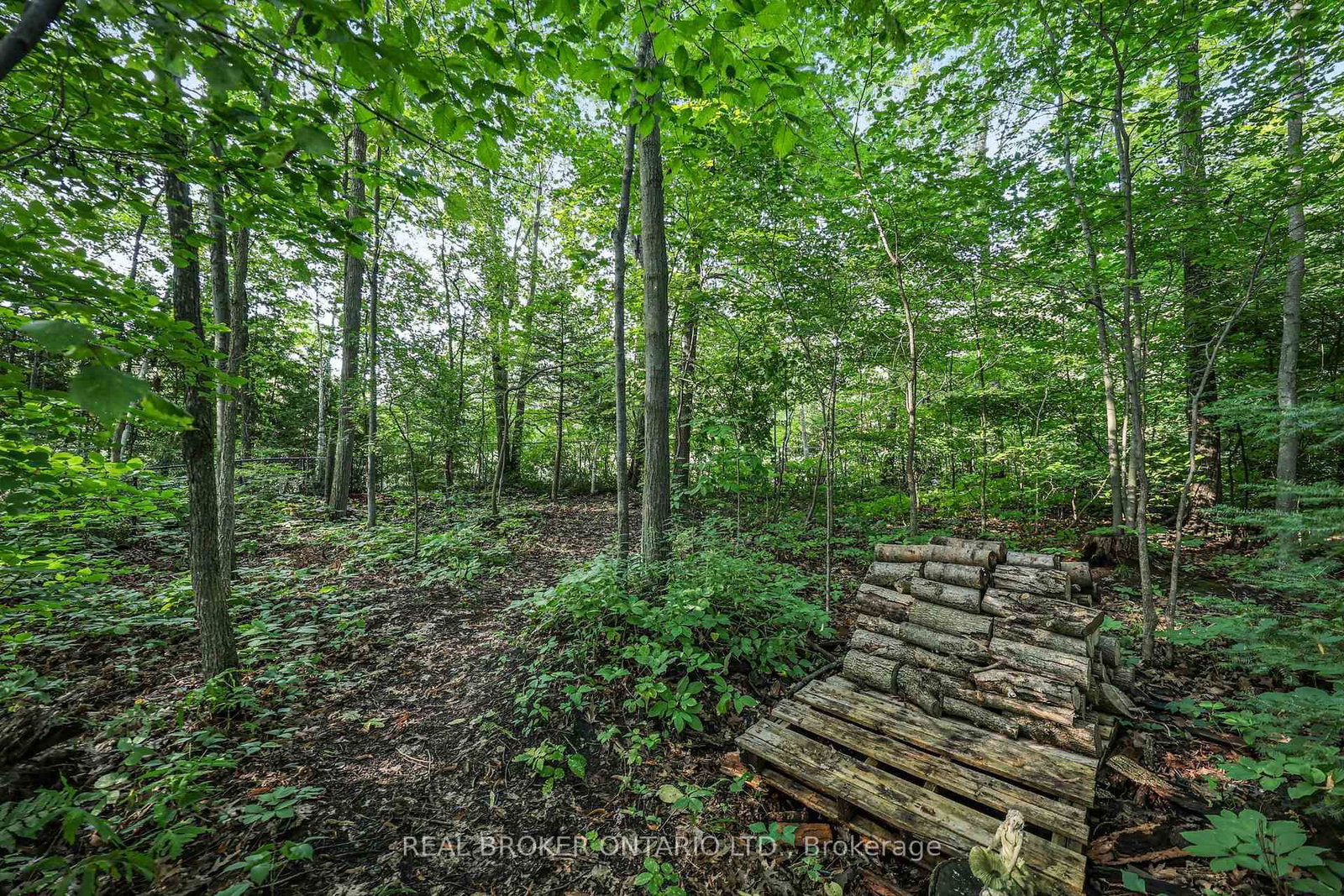 2 Amberglen Court • East Gwillimbury, ON photo 45