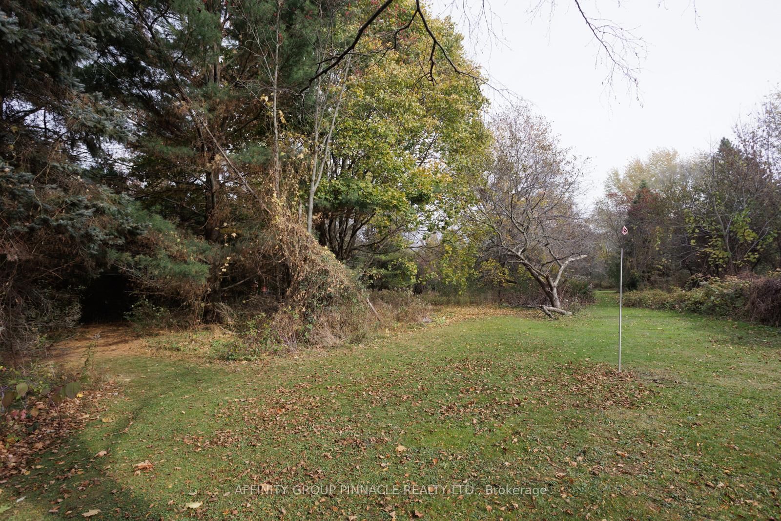 81 Cedar Beach Road • Brock, ON photo 18