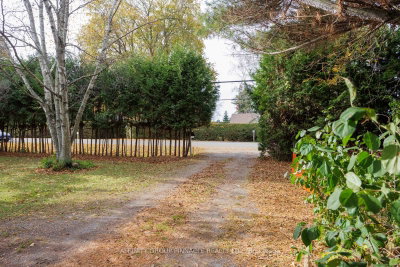 81 Cedar Beach Road • Brock, ON photo 4