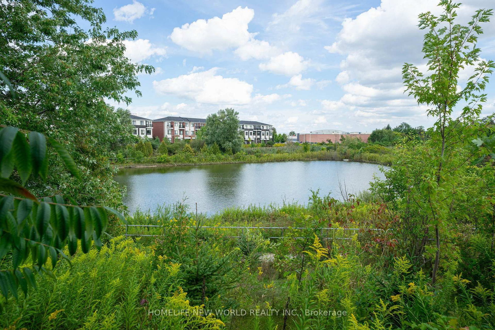 20 Gracedale Drive • Richmond Hill, ON photo 45