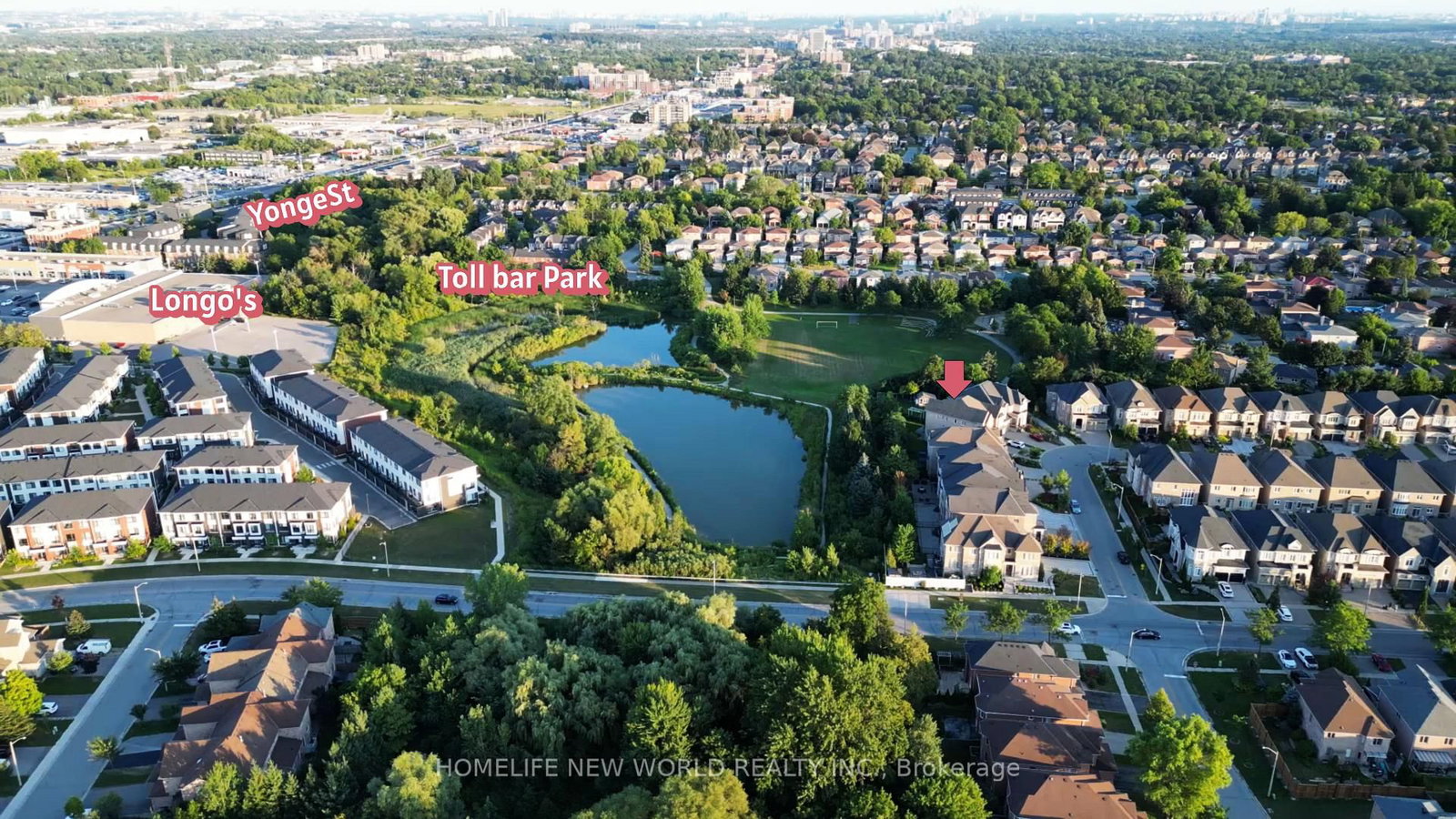20 Gracedale Drive • Richmond Hill, ON photo 49