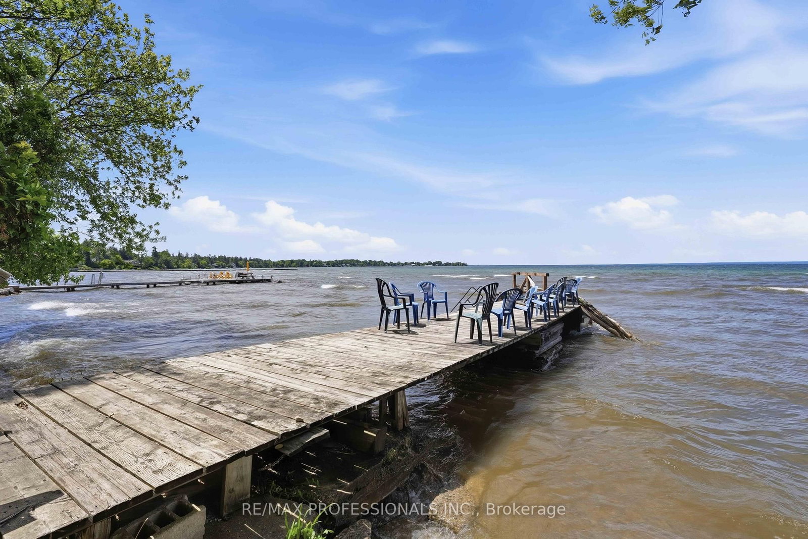 101 Maple Avenue • Georgina, ON photo 49