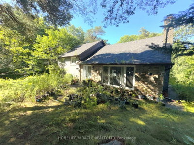 14178 Yonge Street • Aurora, ON photo 2