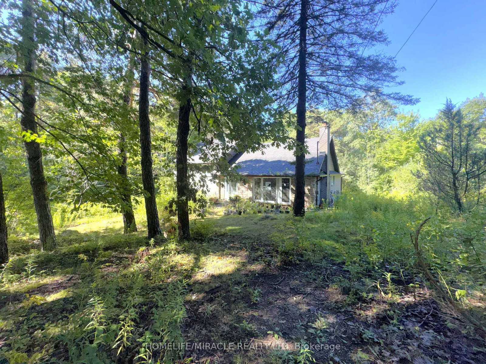 14178 Yonge Street • Aurora, ON photo 3