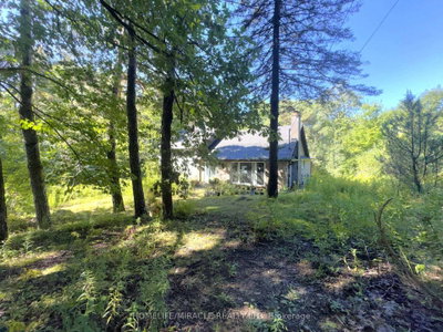 14178 Yonge Street • Aurora, ON photo 3