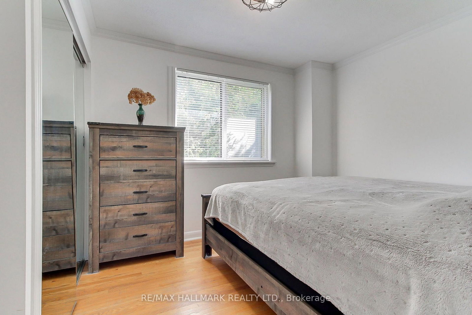 339 Neal Drive • Richmond Hill, ON photo 21