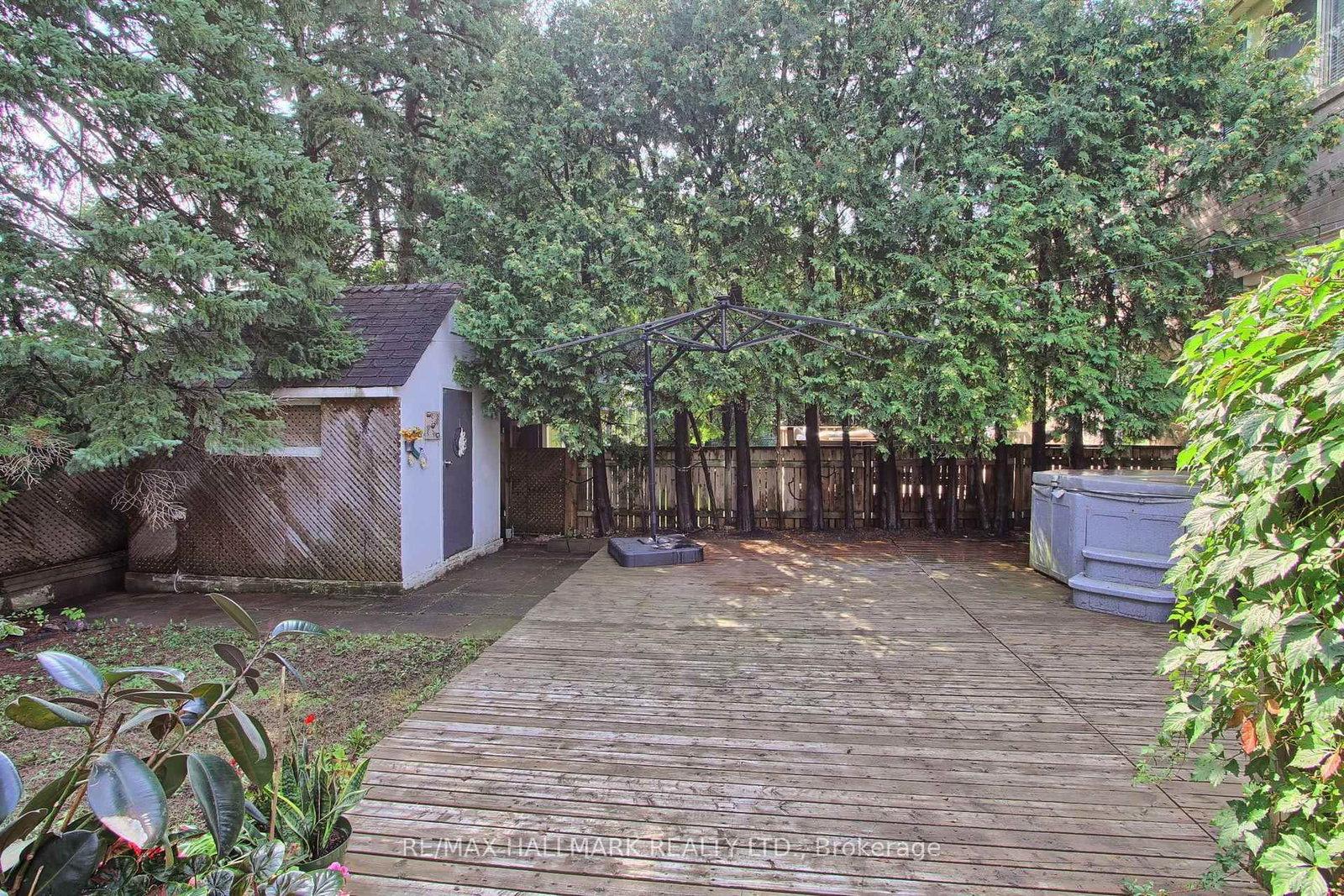 339 Neal Drive • Richmond Hill, ON photo 43