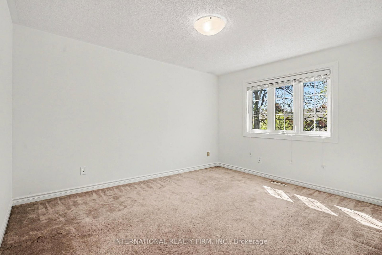 46 Heath Street • Richmond Hill, ON photo 12