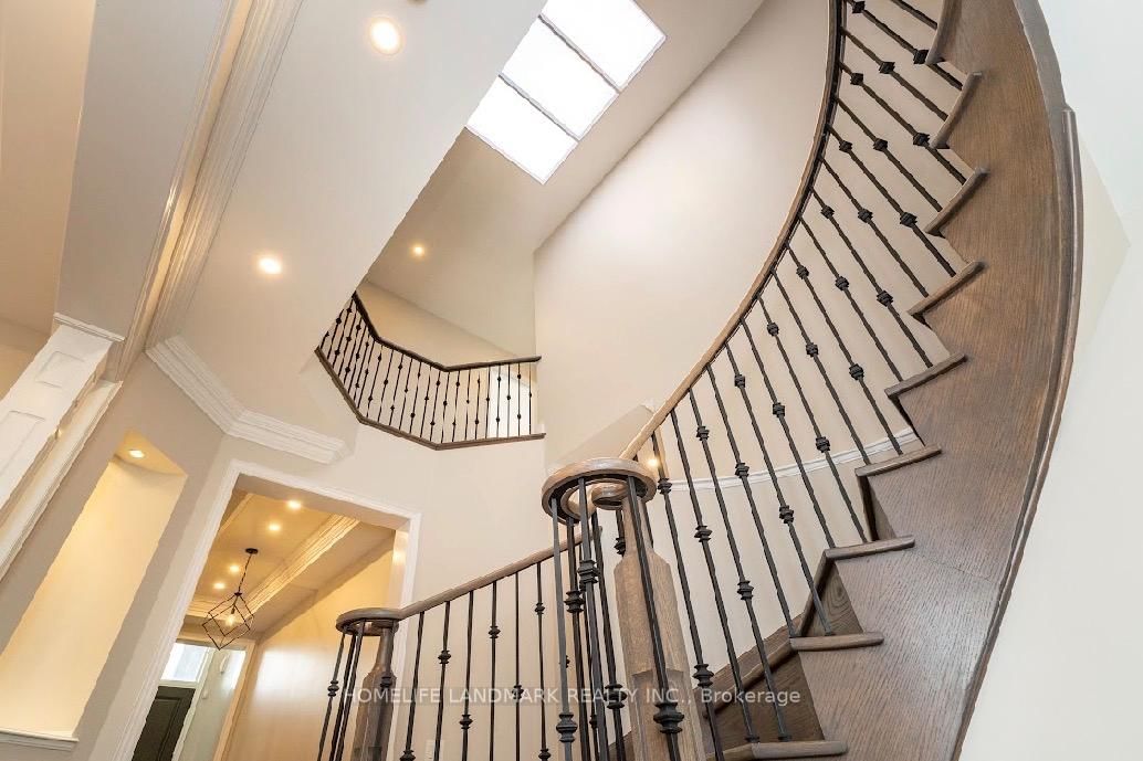 15 Little Celeste Court • Vaughan, ON photo 10