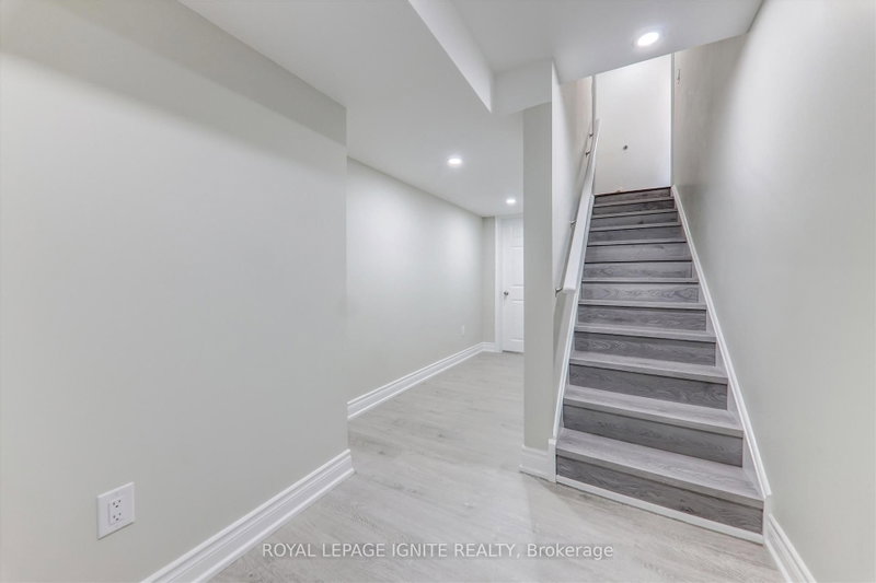Basement - 15 Vanni Avenue