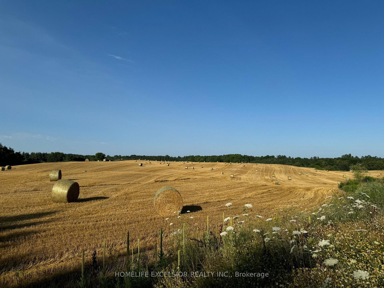 14428 Mccowan Road • Whitchurch-Stouffville, ON photo 14