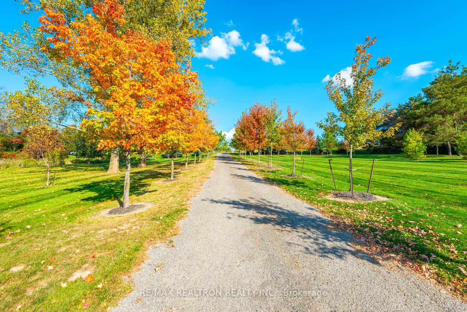 16450 Weston Road • King, ON photo 49