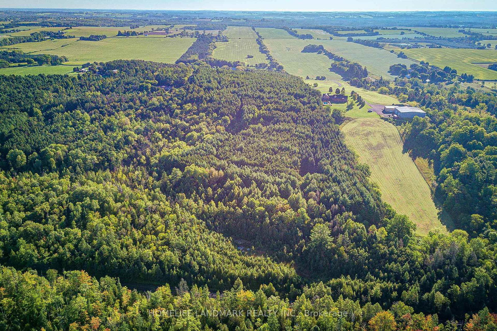 20094 Centre Street • East Gwillimbury, ON photo 5