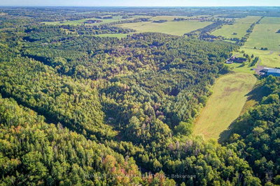 20094 Centre Street • East Gwillimbury, ON photo 6