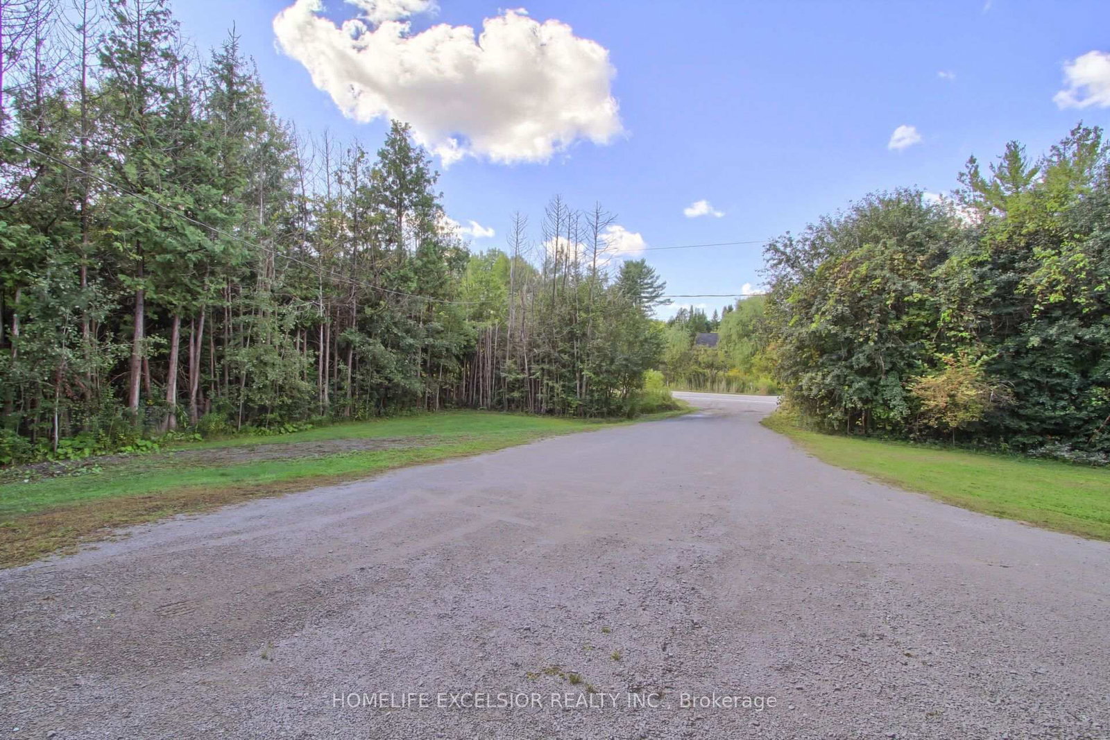 22823 Weirs Side Road • Georgina, ON photo 2