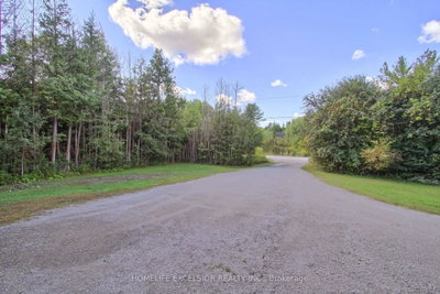 22823 Weirs Side Road • Georgina, ON photo 2