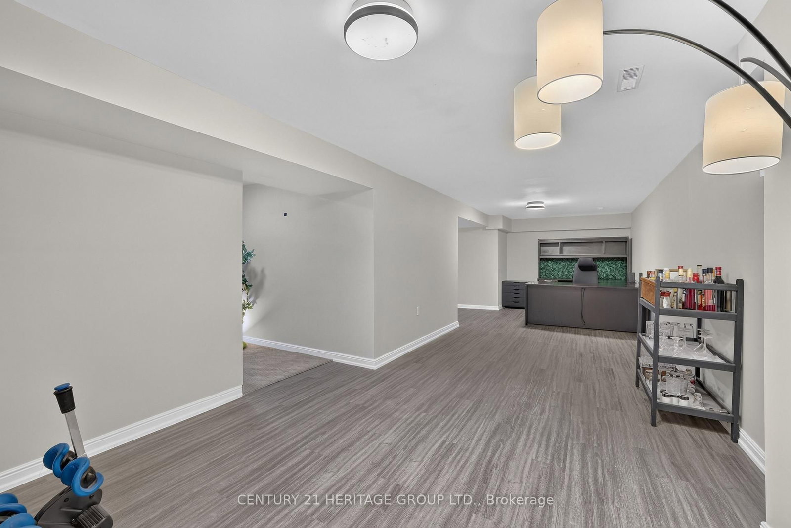 28 Innis Crescent • Richmond Hill, ON photo 36