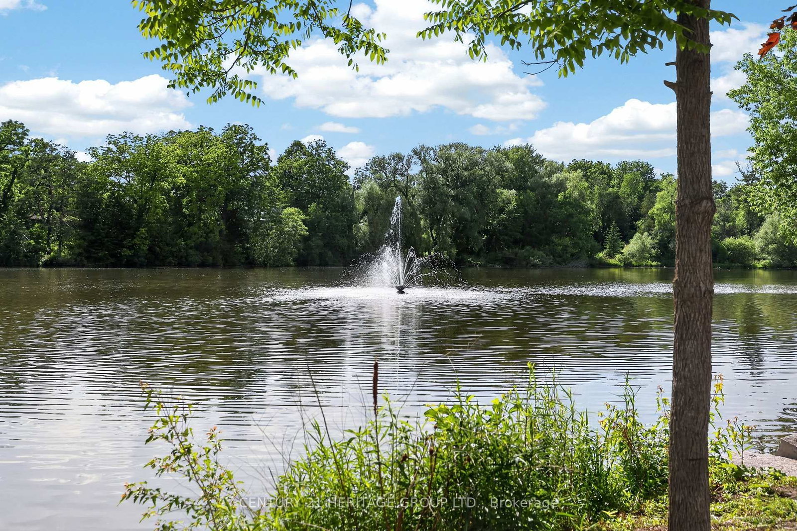 28 Innis Crescent • Richmond Hill, ON photo 46