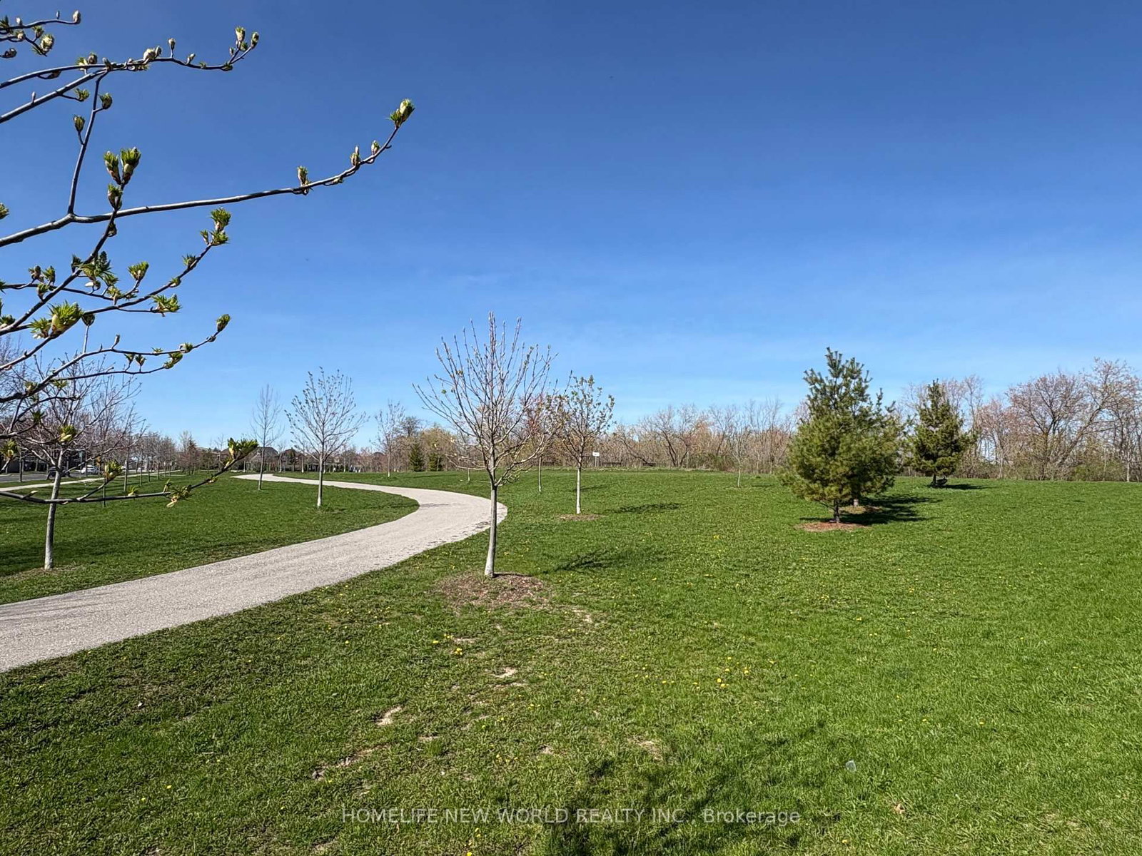 26 Roy Grove Way • #50 • Markham, ON photo 3