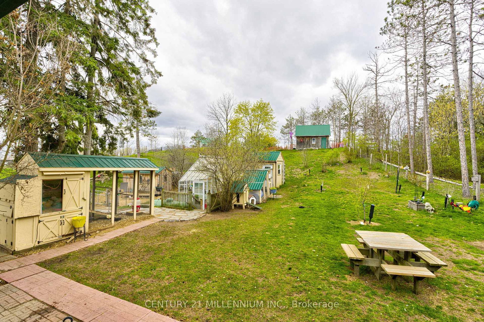 6046 3rd Line • Essa, ON photo 31