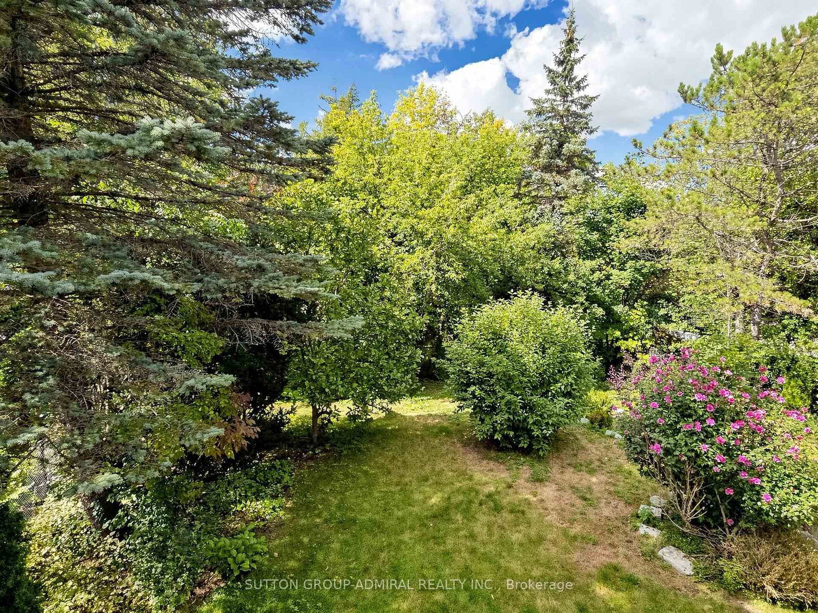48 Petch Crescent • Aurora, ON photo 37
