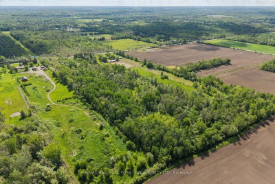 Lot 17 McCowan Road • Georgina, ON photo 5