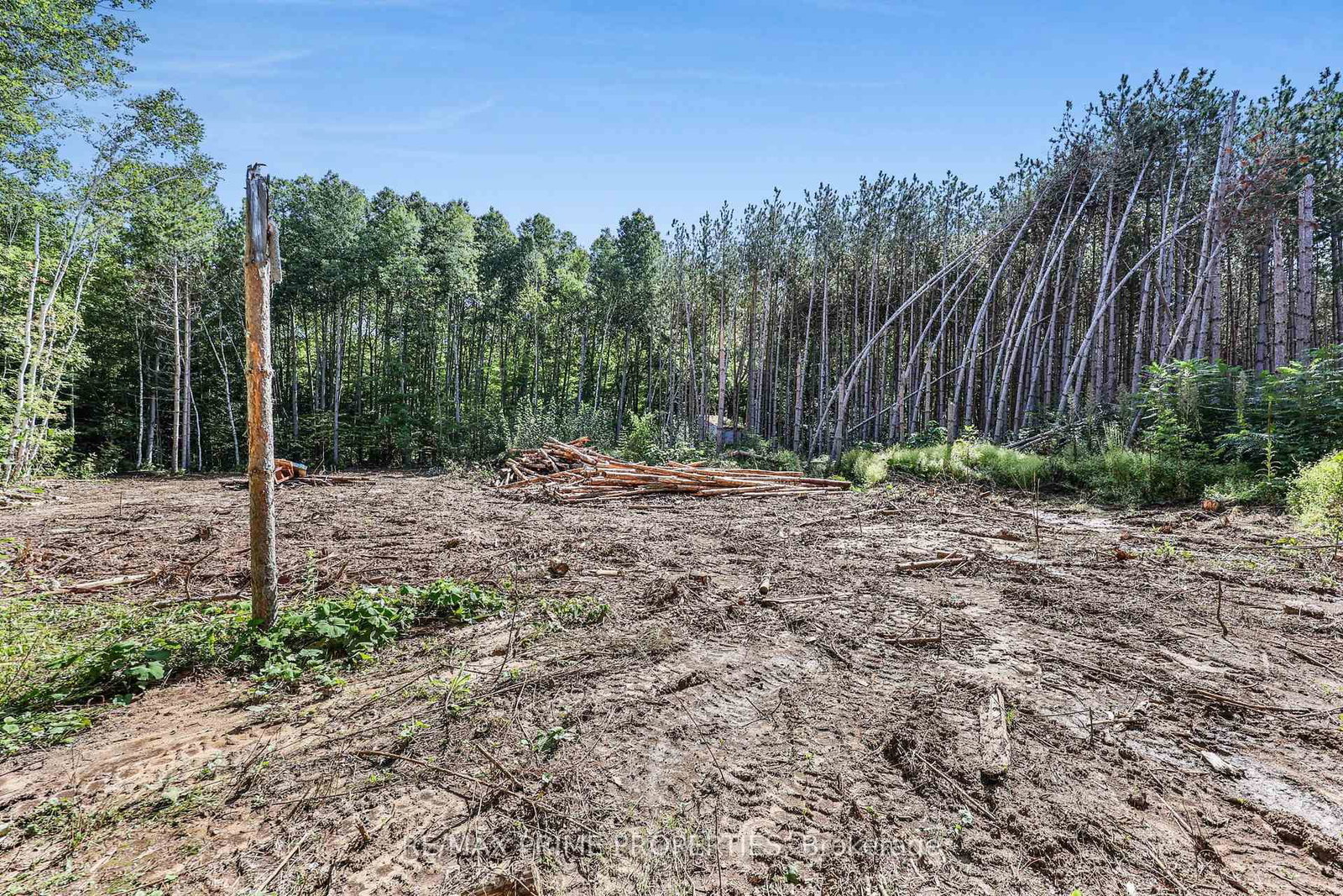 25625 Valley View Drive • Georgina, ON photo 37