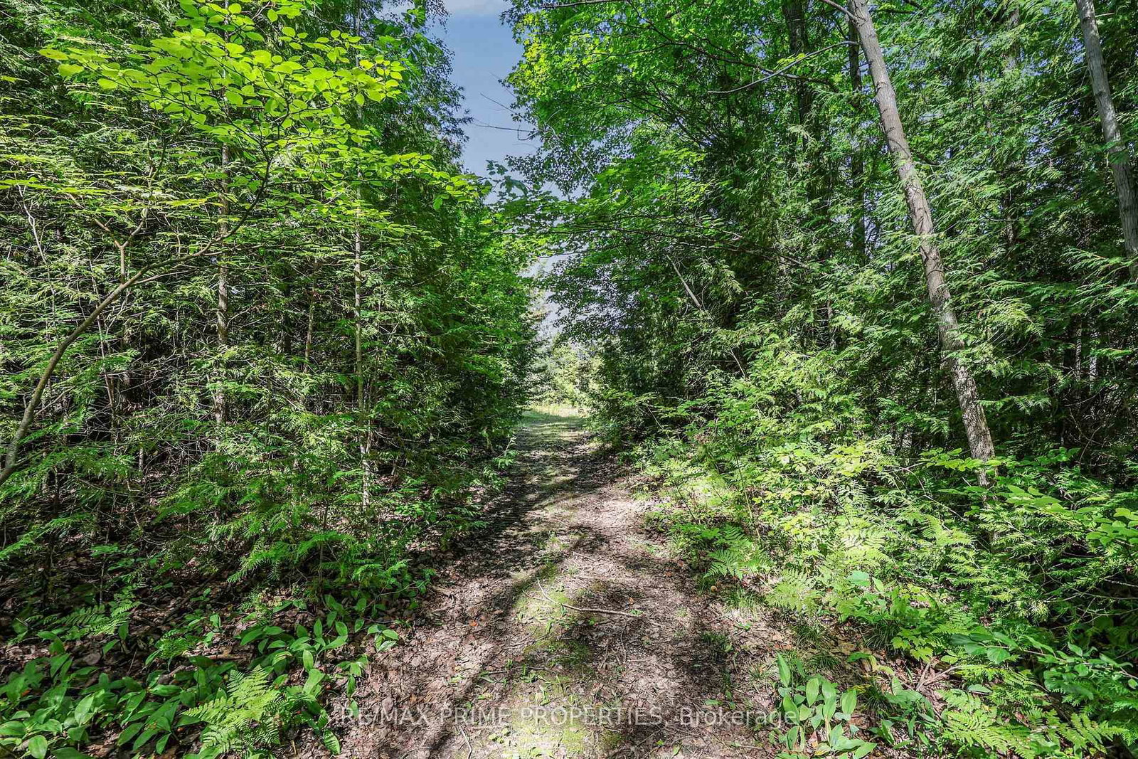 25625 Valley View Drive • Georgina, ON photo 38
