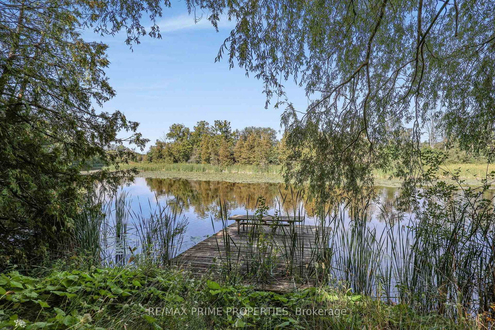 25625 Valley View Drive • Georgina, ON photo 39