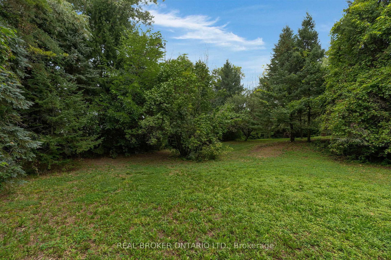 8626 5th Side Road • Adjala-Tosorontio, ON photo 29