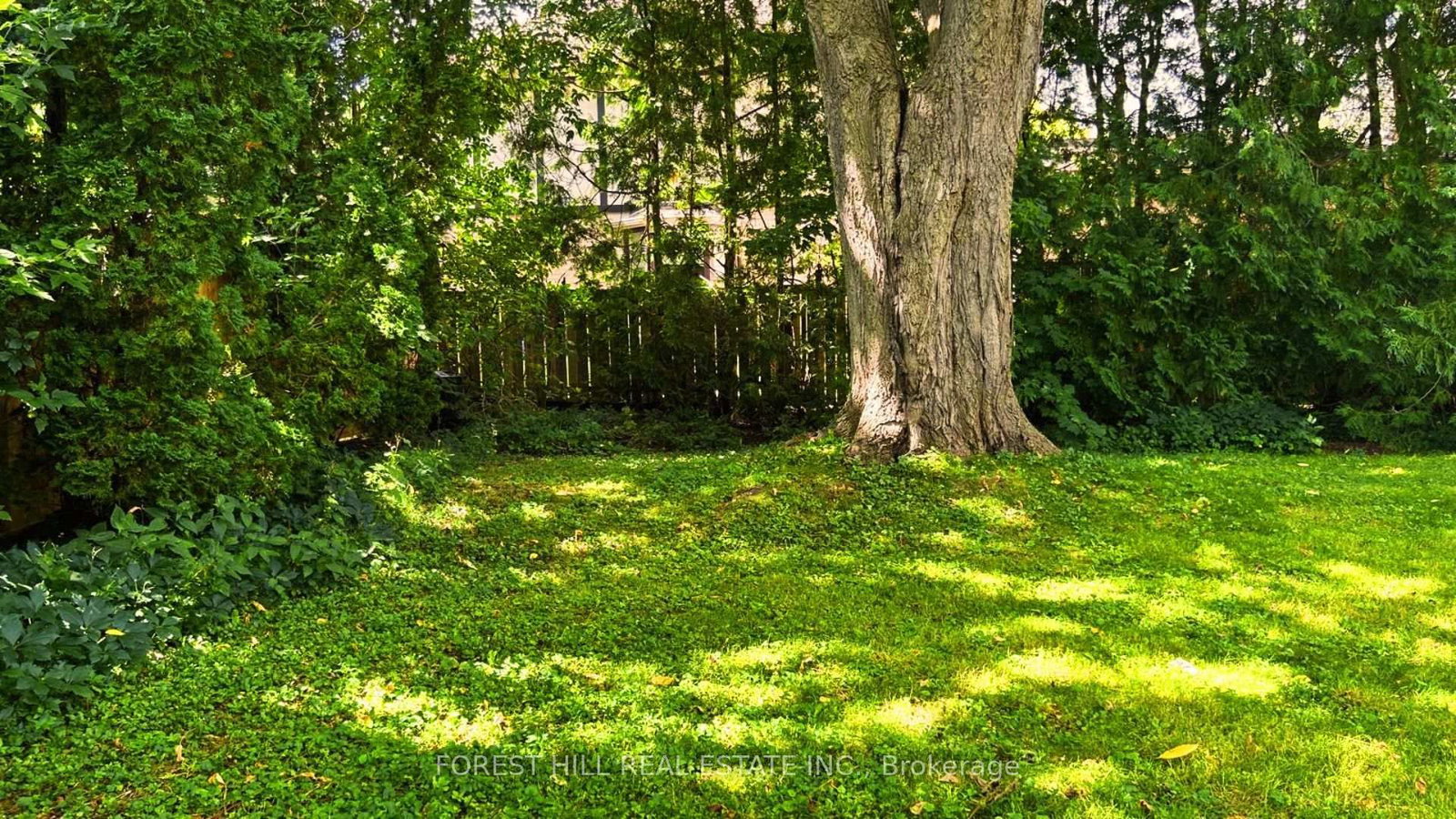 1 Willis Drive • Aurora, ON photo 30
