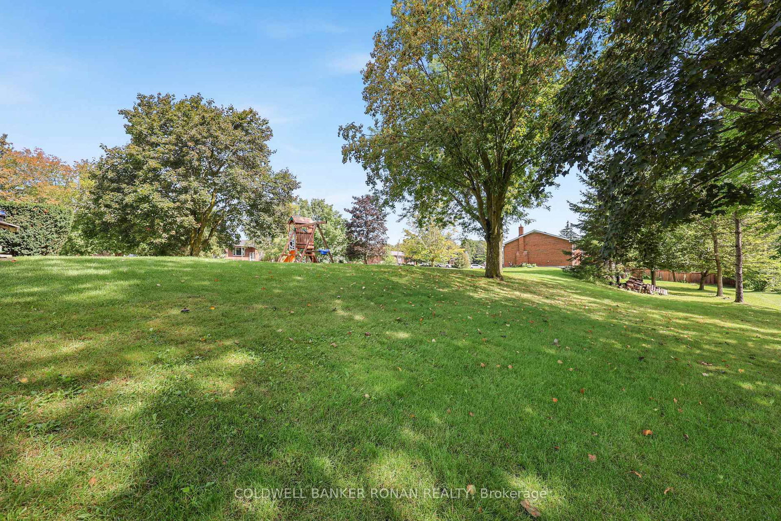 5 John Street • Adjala-Tosorontio, ON photo 45