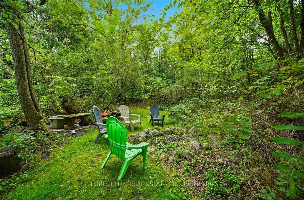 137 Main Street • King, ON photo 47
