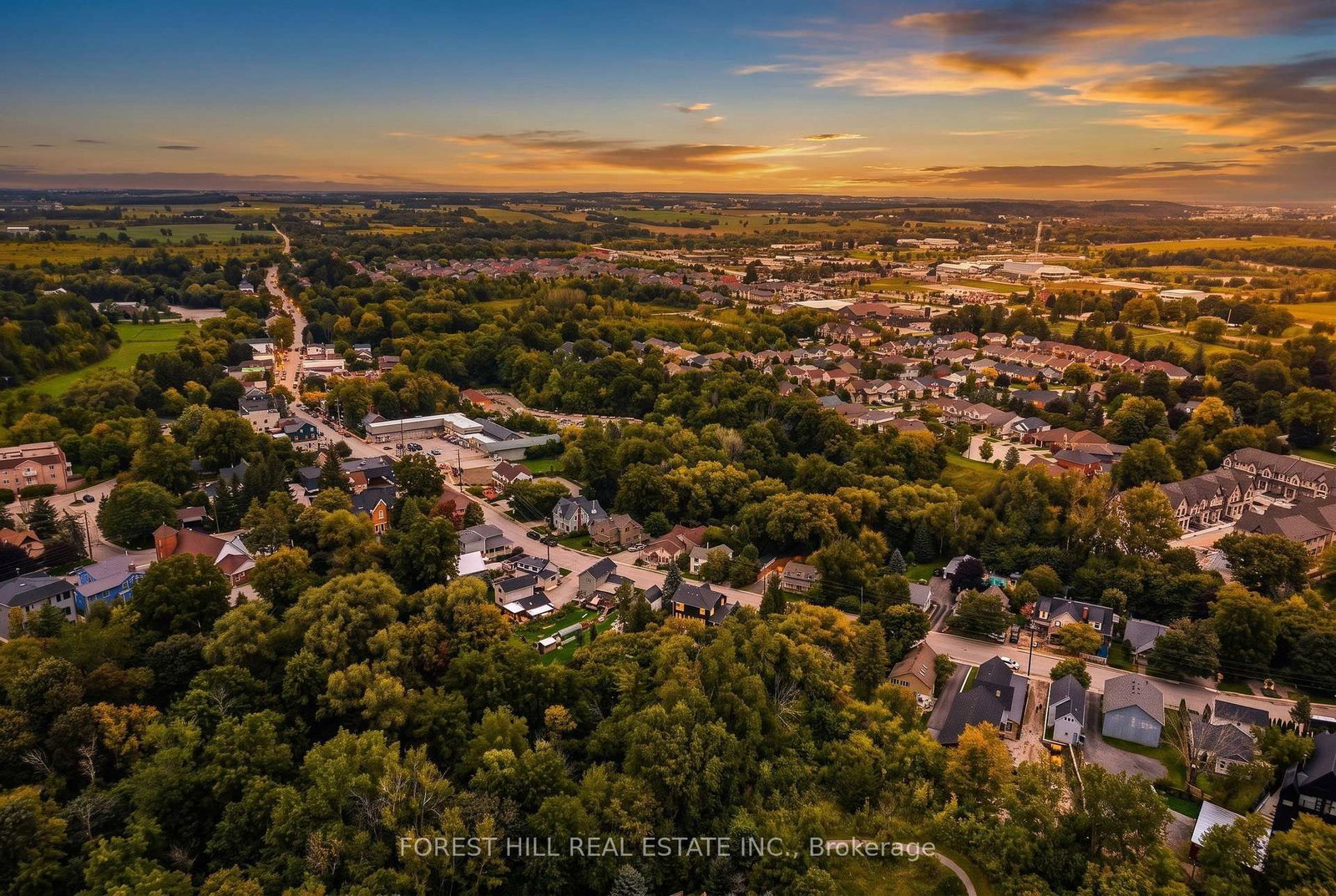 137 Main Street • King, ON photo 50